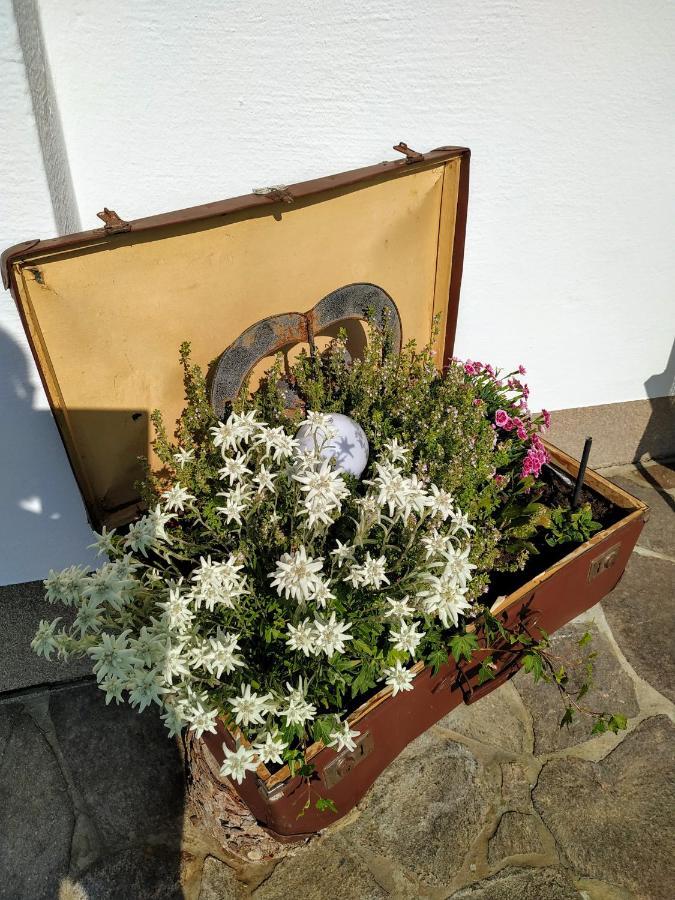 Apartment Marie Luise, Reith bei Kitzbuehel